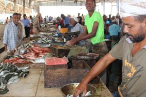 696791-1197728035 عدن.. ارتفاع قياسي لأسعار الأسماك والثمد بـ 16 ألف ريال