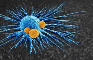 اكتشاف بكتيريا تملك القدرة على تذويب بعض أنواع السرطان