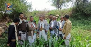 الاطلاع على حجم الأضرار التي خلفتها دودة الحشد (صور)