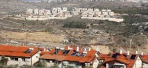 مقاومة الجدار والاستيطان : الاحتلال والمستوطنين نفذوا 1110 اعتداءات الشهر الماضي