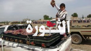 حي الحتارش أبناء حي الحتارش بأمانة العاصمة يجودون بقافلة عنب دعما للمجاهدين في الجبهات