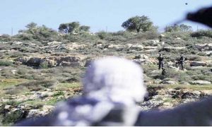 سيصيصيصي صراع غير متكافئ بين أصحاب الأرض والدخلاء على مراعي الضفة