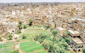 صنعاء القديمة هيئة المدن التاريخية تناشد المنظمات المعنية التعاون العاجل لإنقاذ المدن التاريخية من تأثير الأمطار المستمرة