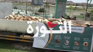 تدشين مشروع التمكين الاقتصادي لأسر الشهداء والمفقودين بمديريات محافظة البيضاء 