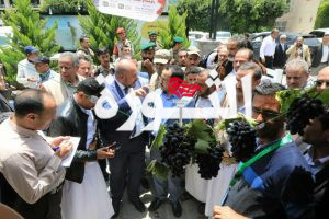 وزير المالية يزور مهرجان خيرات اليمن الأول بأمانة العاصمة