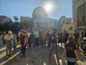 IMG_20240813_093920_042 المستوطنين الصهاينة يجددون اقتحامهم لباحات المسجد الأقصى المبارك