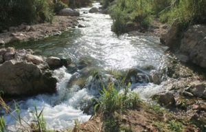 IMG_20240822_191236_456 مستوطنون يقيمون بؤرة استيطانية جديدة شمال أريحا