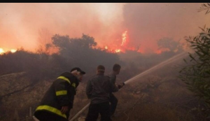 Screenshot_20240815-194421~2 إثر سقوط صاروخ..اندلاع حريق في مستوطنة شامير شمال فلسطين المحتلة