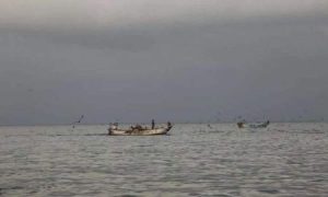 وزارة الخارجية تدين قتل قوات البحرية الارتيرية لصياد يمني