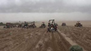 الحديدة تشهد طفرة زراعية