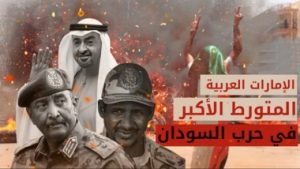 صحيفة أمريكية تكشف دور الإمارات في هذا الأمر