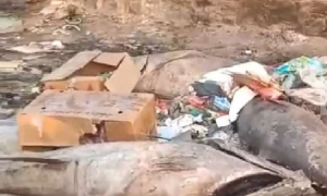 رمي كمية كبيرة من أغلى أنواع السمك في عدن للقمامة والسبب..!
