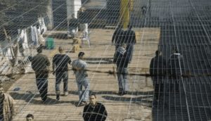 الاسرى.jpg-a6660648-5a65-4121-80e6-2c81c0bbc096 هيئة الأسرى الفلسطينية تحذر: مرض “السكابيوس” يُهدد حياة الأشبال بـ”عوفر”