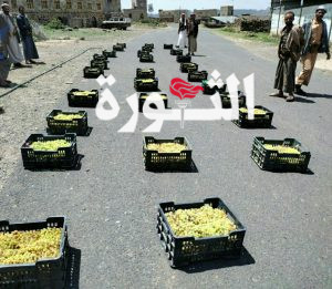 أبناء مديرية الطيال بصنعاء يسيرون قافلة أعناب دعما للمرابطين