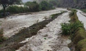 سيول الامطار مدينة الشرق هذا ما سجلته محطات الرصد الجوي في أربع محافظات