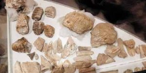 45 اكتشاف جيولوجي في ذمار يعود إلى العصر الجليدي