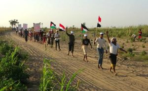 a6dc898b5d0db149eda الحديدة..مسير شعبي لخريجي دورات طوفان الأقصى بمديرية المنيرة