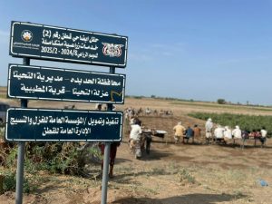 حقلي يوم حقلي لمزارعي القطن في زبيد والتحيتا بالحديدة