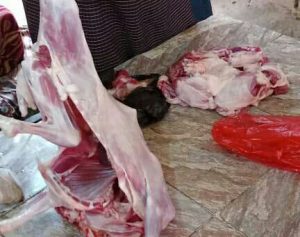 ضبط ثلاث مسالخ مخالفة بذبح صغار وإناث المواشي في باجل بالحديدة ضبط ثلاث مسالخ مخالفة بذبح صغار وإناث المواشي في باجل بالحديدة