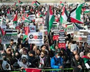 مدن أمريكية تشهد مظاهرات رفضاً لمخططات تهجير الغزيين