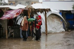 الأونروا: معاناة النازحين مستمرة مع عودتهم إلى غزة