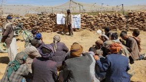 ذمارر تشكيل مدارس حقلية في عدد من مديريات ذمار