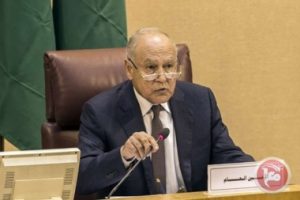 أبو الغيظ: الفلسطينيون لن يكونوا وحدهم وأطروحات التهجير مرفوضة