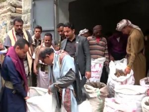 توزيع توزيع 3 أطنان من زراعة الزنجبيل والكركم في الجعفرية بريمة