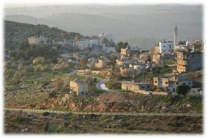 مستوطنون صهاينة يجرفون أراضي في قرية أم صفا شمال رام الله