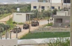 العدو الإسرائيلي يحاصر منزلين في قباطية ويعتقل شابين فلسطينيين