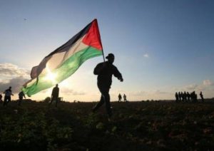 “التجمع الوطني”: نؤكد دعم المقاومة الفلسطينية وتمسكها بسلاحها