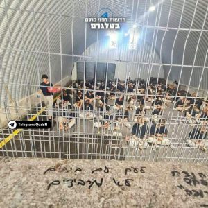 مركز حقوقي: تصريحات المجرم بن غفير اعتراف صريح بارتكاب جرائم حرب بحق الأسرى