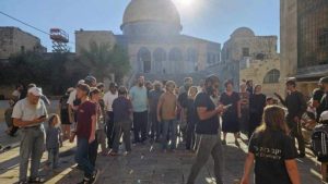 500 يهودي يدنسون باحات الأقصى ويتجولون في باحاته