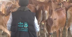 الهيئة العامة لرعاية أسر الشهداء تدّشن مشاريع التمكين الاقتصادي في الحديدة