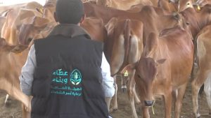 هيئة رعاية أسر الشهداء تدّشن مشاريع التمكين الاقتصادي بالحديدة