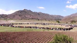 IMG-20250429-WA0020 وقفة قبلية مسلحة في يريم نصرة لغزة وإعلان وثيقة الشرف القبلية