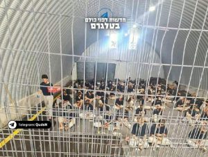 مركز حقوقي: تصريحات بن غفير اعتراف صريح بارتكاب جرائم حرب بحق الأسرى