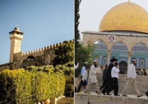 تقرير: 21 اقتحاما للأقصى ومنع رفع الأذان 52وقتا في الإبراهيمي خلال شهر رمضان