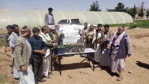 IMG_20250713_181139_020 توزيع ثلاثة آلاف شتلة فاكهة على المزارعين في ذمار