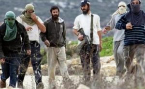 RCqxX إصابة فلسطينيين في هجوم للمستوطنين على بلدة سوسيا بالضفة الغربية