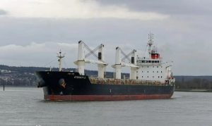 a332aa5f-ba2a-451a-b4cd-aefffa2adb44 الجيش اليمني يغرق سفينة جديدة وينقذ طاقمها.. صنعاء تفرض المعادلة وتثبت قدرتها على ردع الكيان