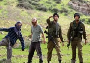 مستوطنون يُجرفون أراضٍ زراعية في شلال العوجا و يهاجمون مركبات الفلسطينيين ببيت لحم