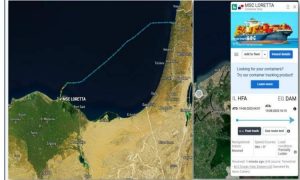 115_medium مواقع ملاحية: تدفق 62 سفينة تركية ومصرية الى موانئ الاحتلال