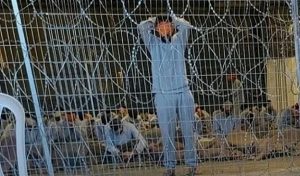 الأسرى المركز الفلسطيني للدفاع عن الأسرى: خطاب ماكرون تحول مهم في الخطاب الدولي