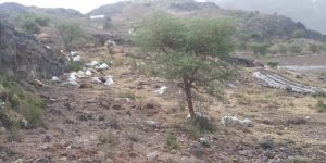 IMG_20250804_230058_300 صاعقة رعدية تودي بحياة امرأتين وطفل في ذمار