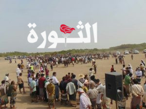 IMG_20250807_190036_363 مهرجان جني التمور في الجاح ببيت الفقية بالحديدة يجذب آلاف الزوار