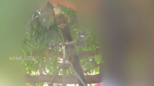 IMG_20250808_222957_991 “سرايا القدس” تعلن قصف تجمعاً لجنود العدو الصهيوني في خانيونس