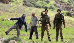مستوطنون يهاجمون منزلا بالزجاجات الحارقة في جالود جنوب شرق نابلس
