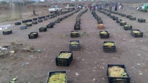 بني حشيش تسير قافلتين من الأعناب دعماً للمرابطين في الجبهات