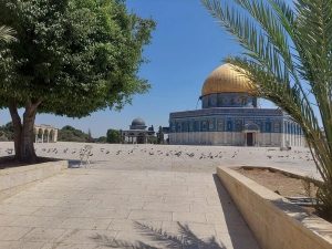 القدس أهالي الداخل المحتل يسيّرون حافلاتٍ للصلاة في الأقصى وإعماره